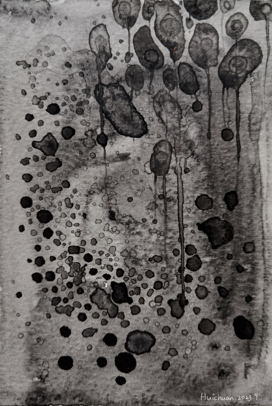 Image 23