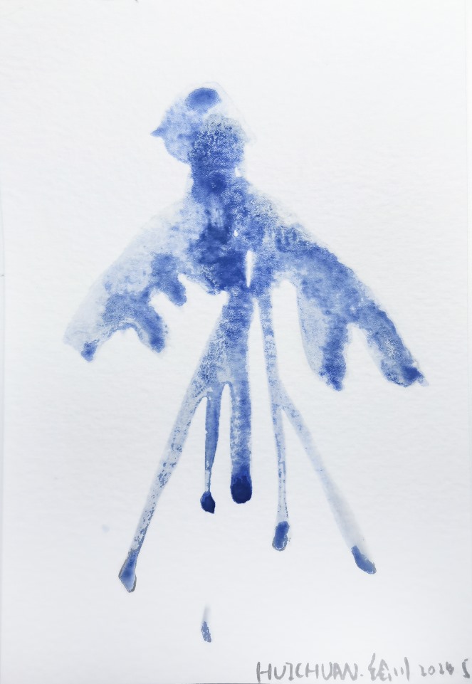 Image 13