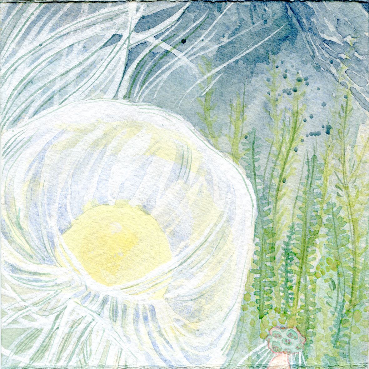 Image 55