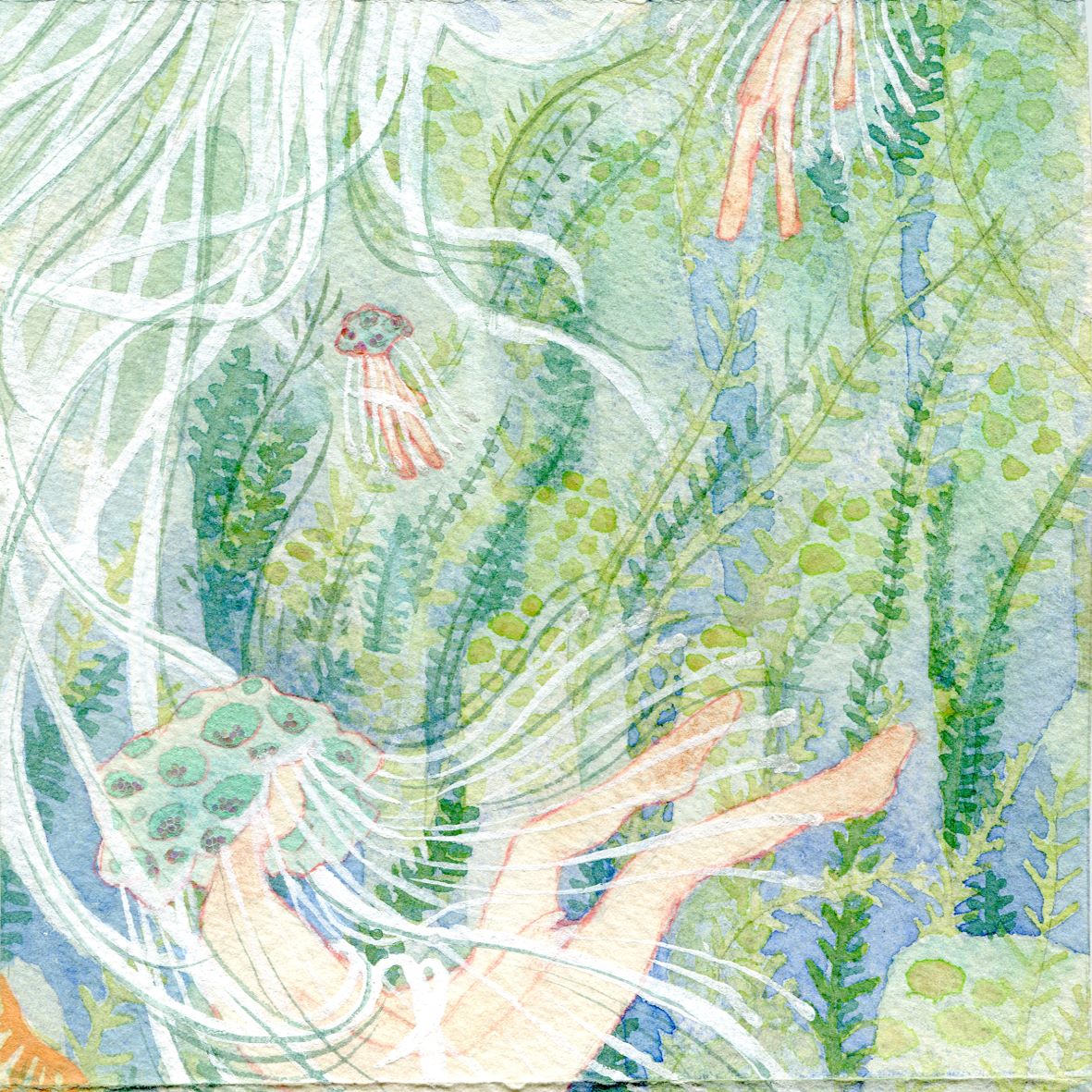 Image 55