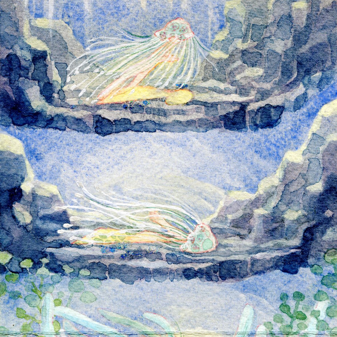 Image 55
