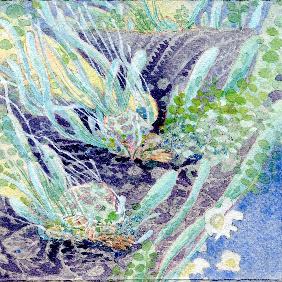 Image 55