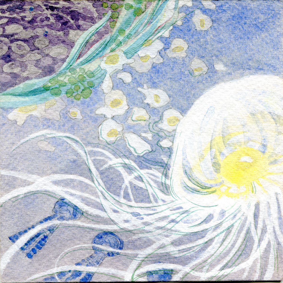 Image 55