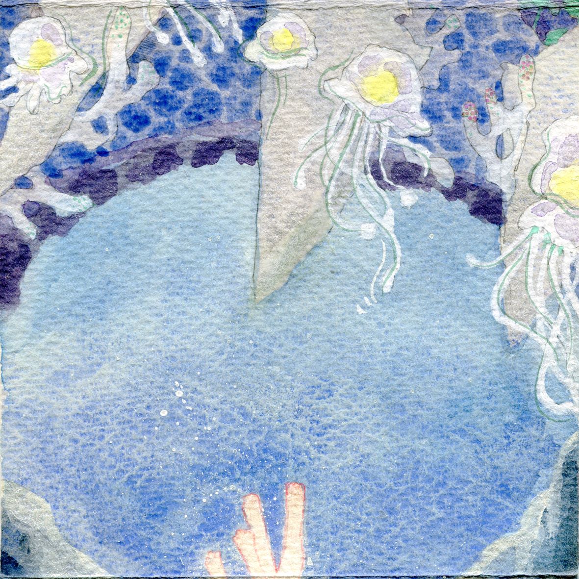 Image 55