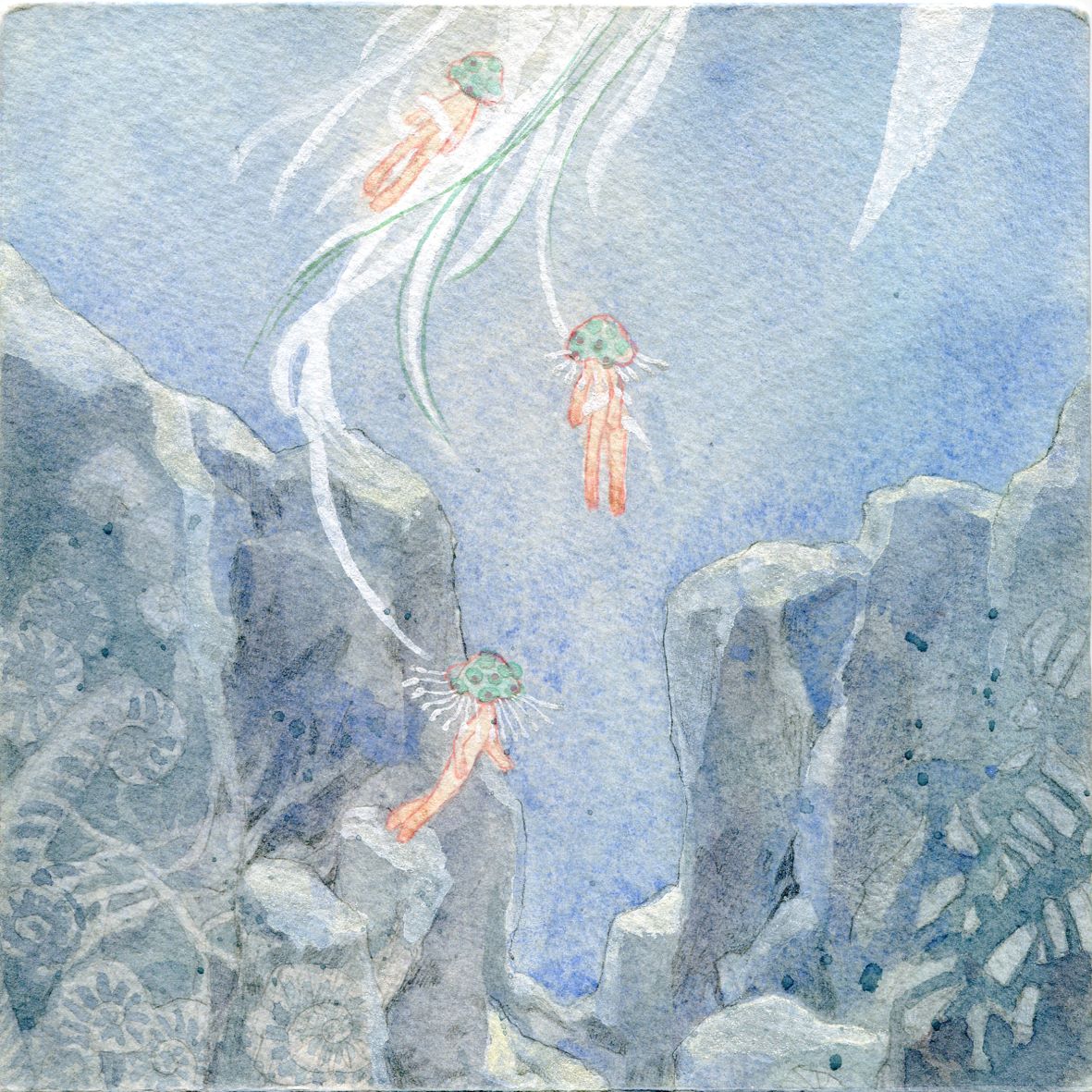 Image 55