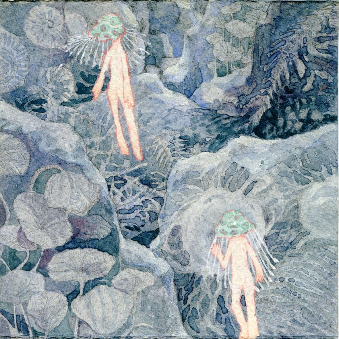 Image 55
