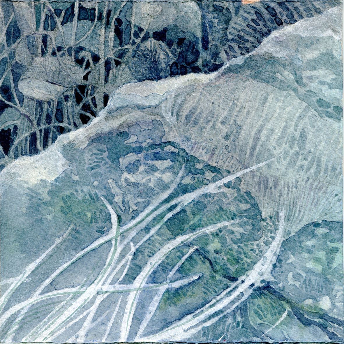 Image 55