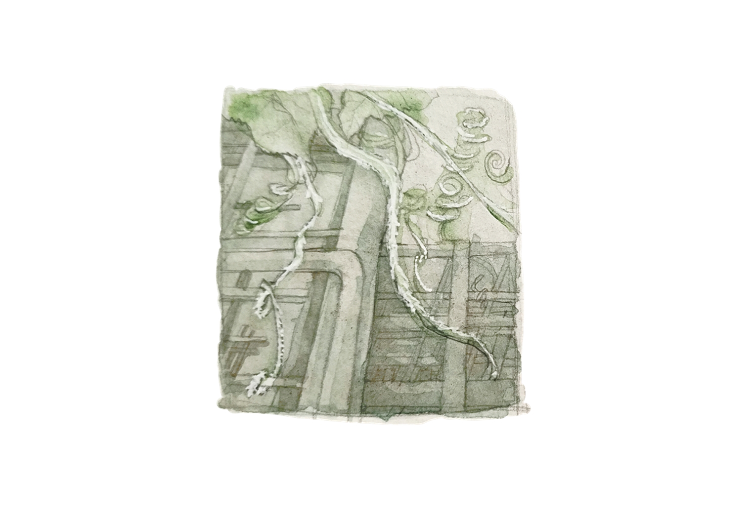 Image 25
