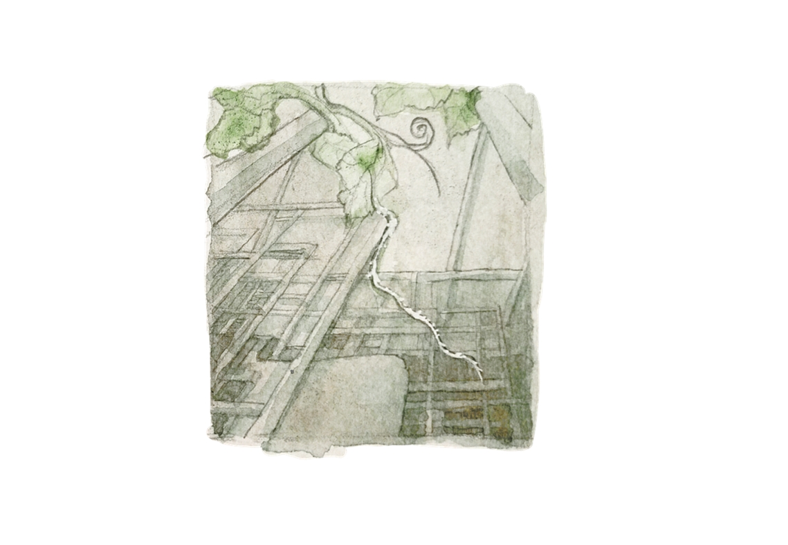 Image 26