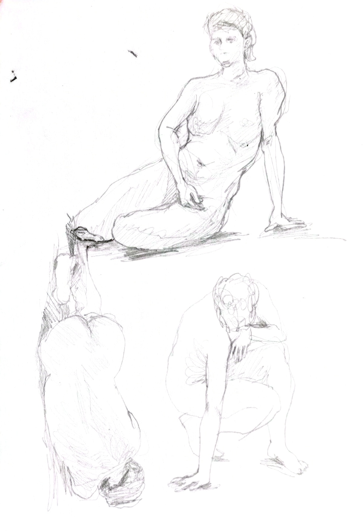 Image 62