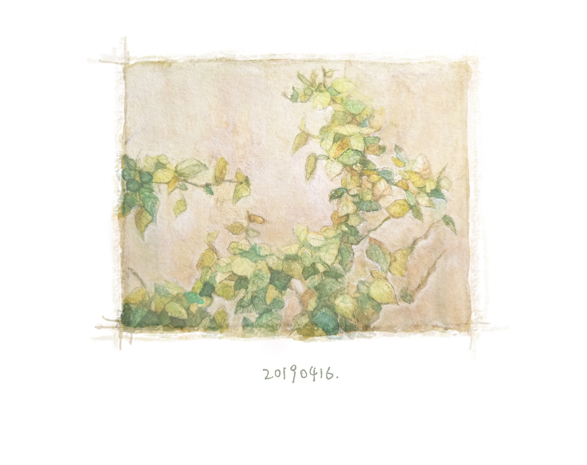 Image 44