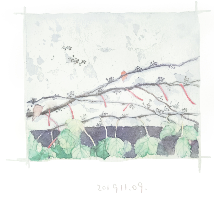 Image 43