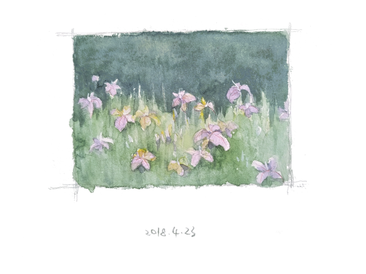 Image 39
