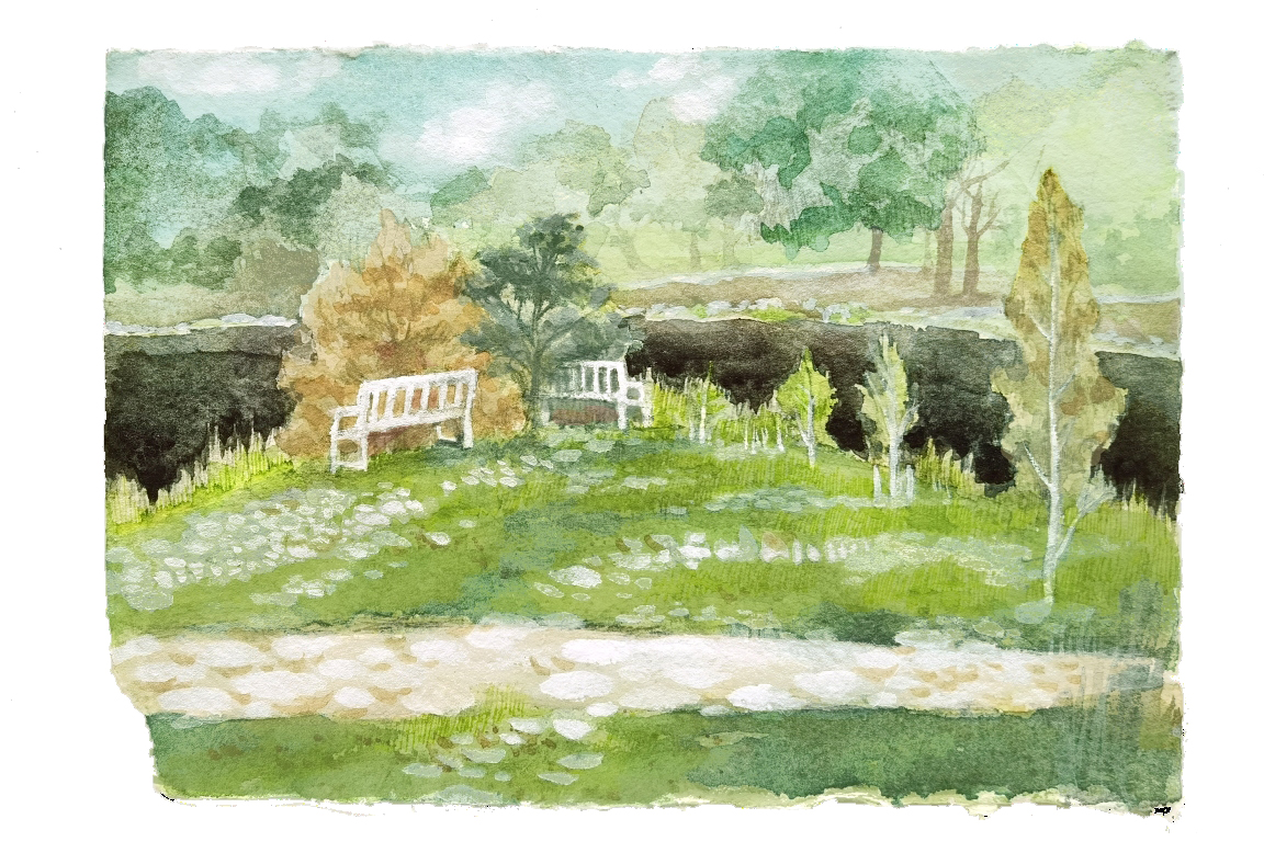 Image 15