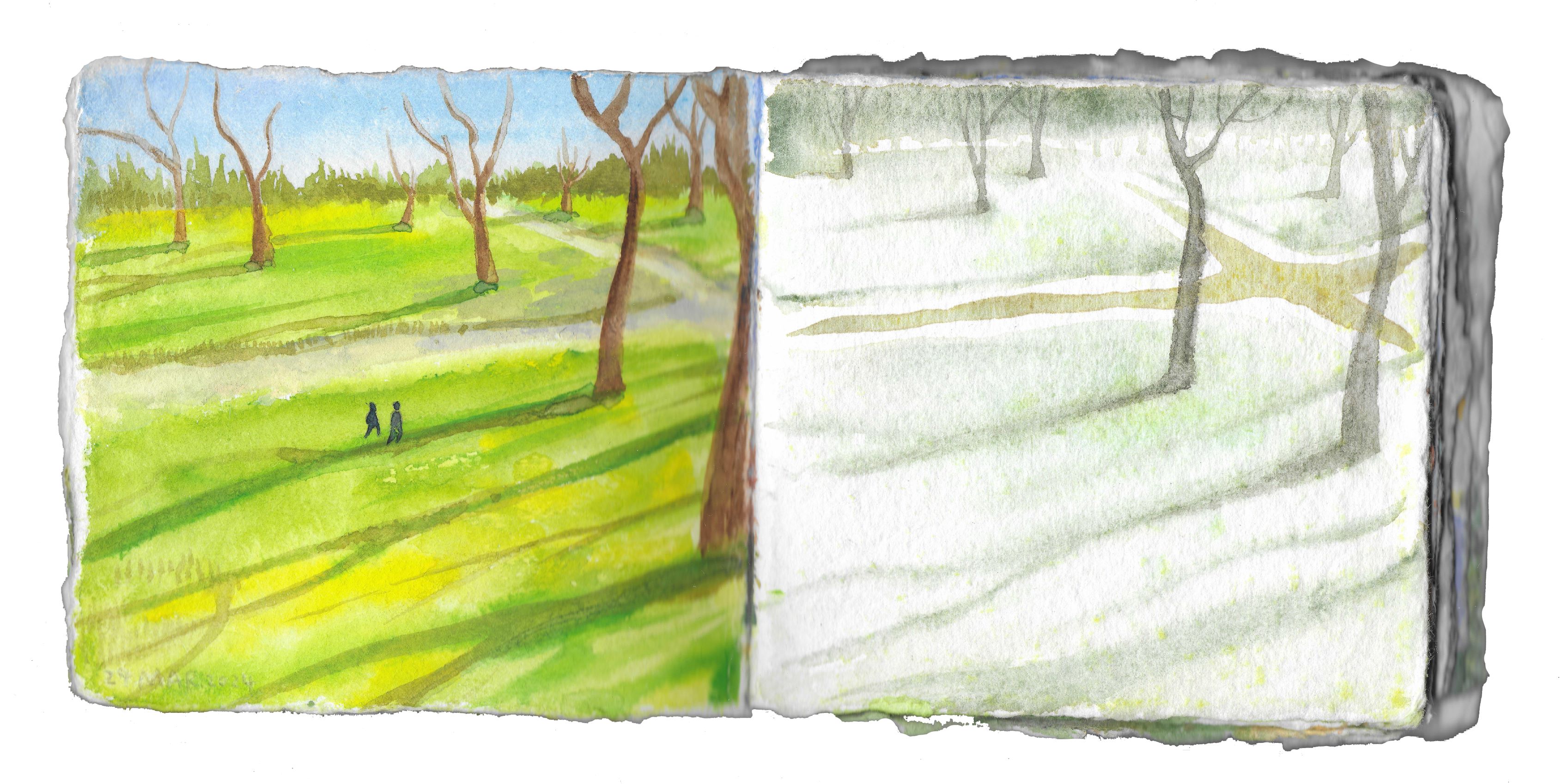 Image 62
