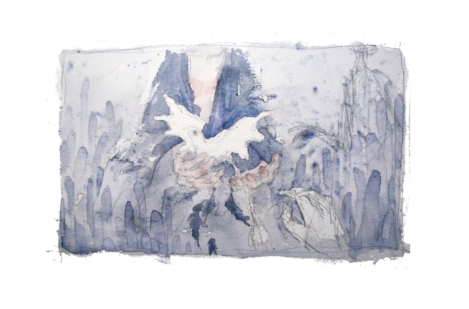 Image 60