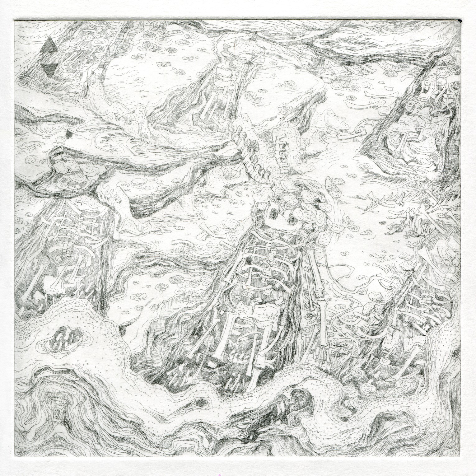 Image 55